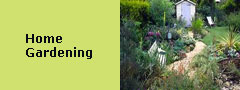 Home Gardening