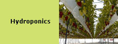 Hydroponics