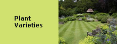 Plant Varieties