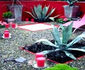 Horticulture
