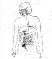 Introduction to Human Biology