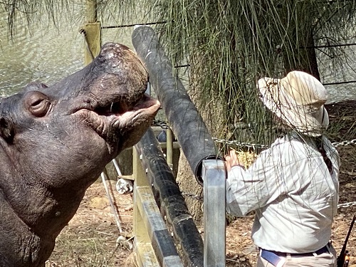 ZOO KEEPING BEN208