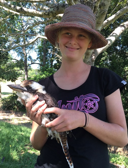 Qualification - FOUNDATION DIPLOMA IN WILD ANIMAL HEALTH VEN102