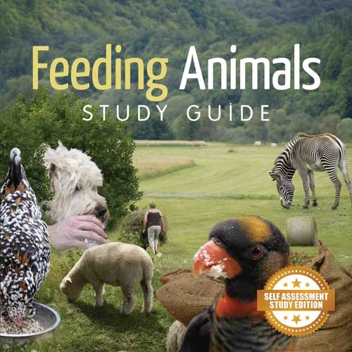PET FOOD BUSINESS BAG227