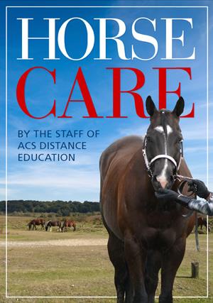 ADVANCED CERTIFICATE IN EQUINE STUDIES - HORSE CARE VAG060