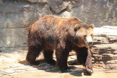Associate Diploma in Wildlife Management from ACS Distance Education Diploma level qualification in Wildlife Management