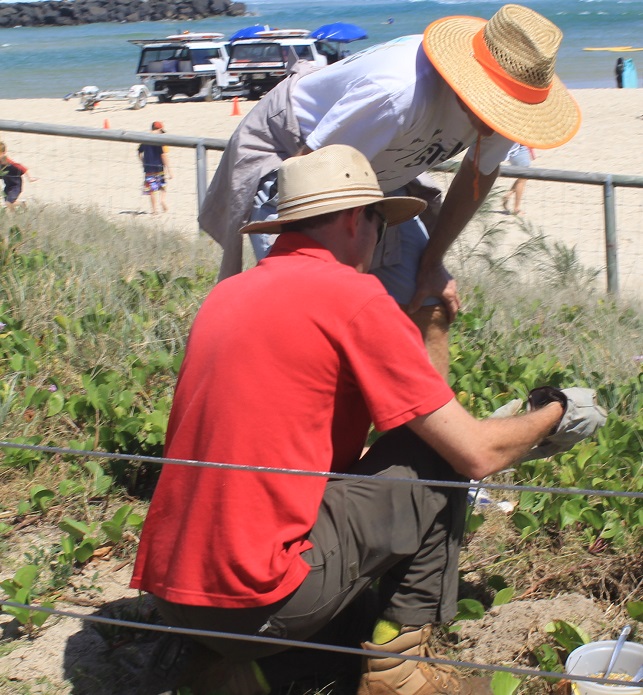 TREES FOR REHABILITATION (LANDCARE REFORESTATION) BHT205