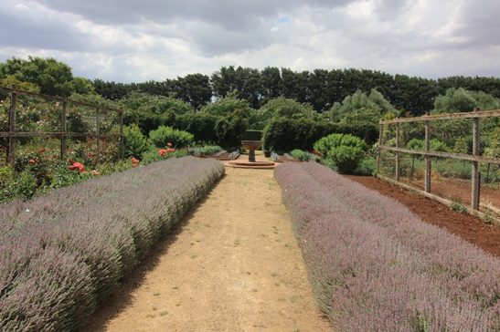 FOUNDATION DIPLOMA IN HORTICULTURE VHT091