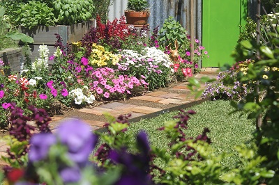 COTTAGE GARDEN DESIGN   BHT110