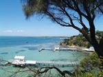 Qualification - CERTIFICATE IN MARINE STUDIES AND ECOTOURISM VTR016