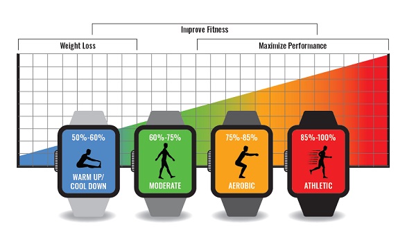HEALTH & FITNESS I  (FITNESS LEADERSHIP)  BRE101