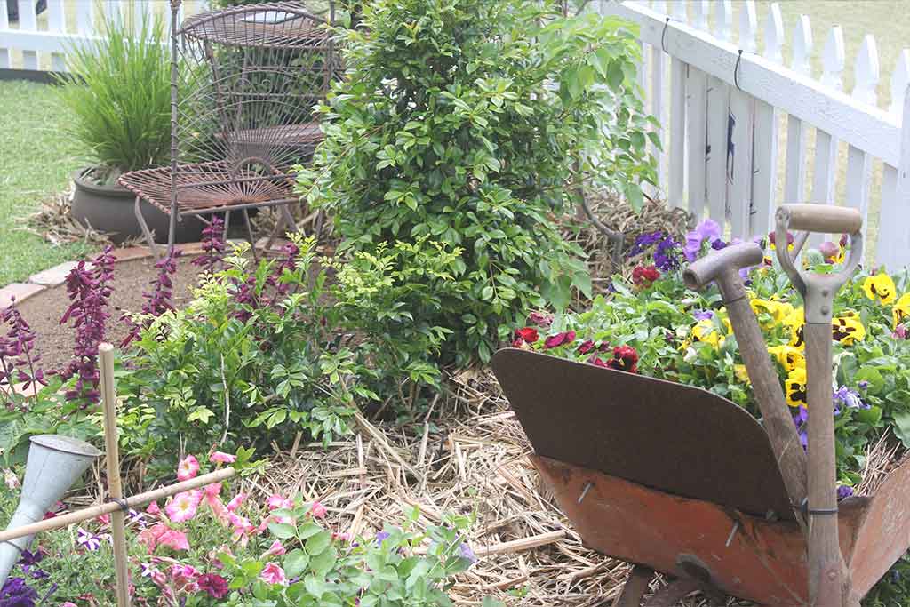 ORGANIC PLANT CULTURE BHT302