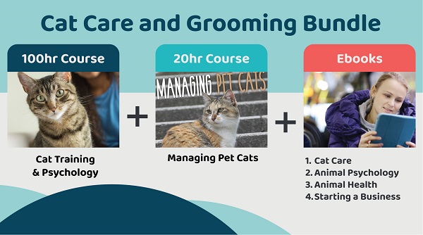 CAT CARE & GROOMING BUSINESS SKILLSET BAG222