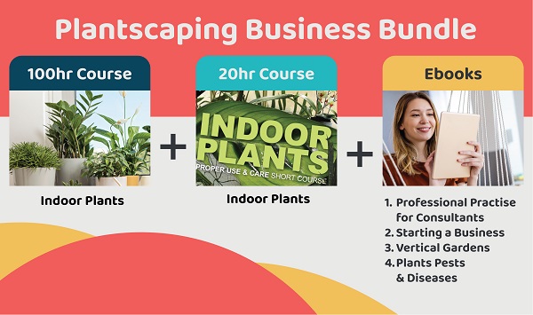 INDOOR PLANTSCAPING BUSINESS SKILL SET - SPECIAL OFFER