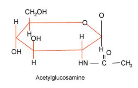 Biochemistry BSC103 module from Certificate in Human Biology