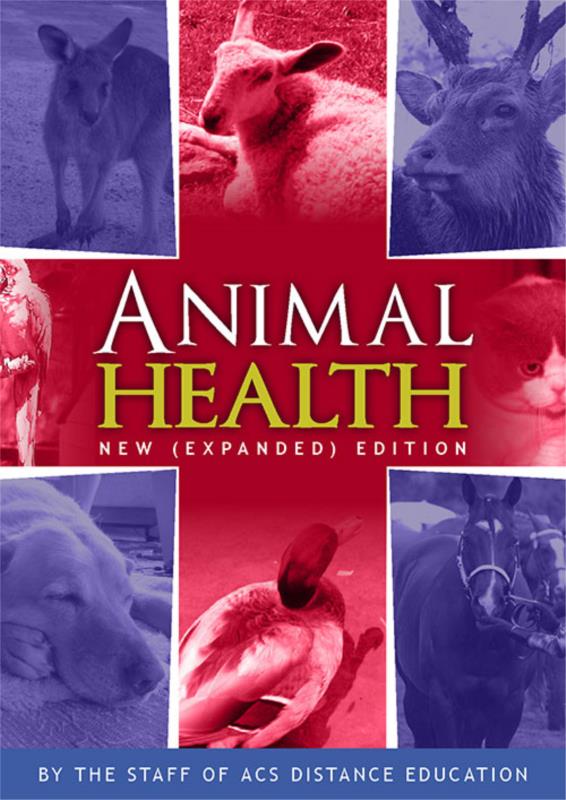 research topics in animal health