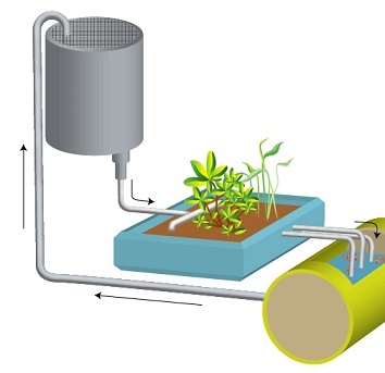 Aquaponics | Online Course