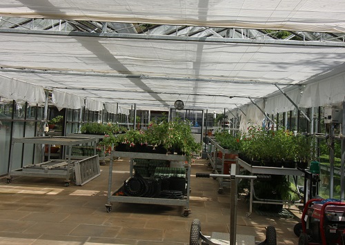 FOUNDATION CERTIFICATE IN PLANT GROWTH FOR HORTICULTURE LEVEL 3 VHT041