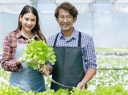 CERTIFICATE IN HYDROPONICS  VHT013