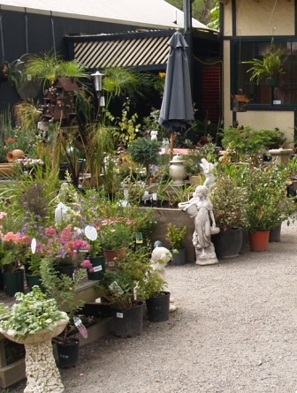 NURSERY HANDS COURSE  VHT102