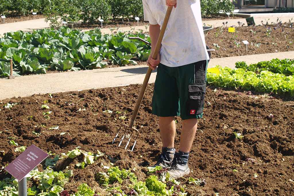SOIL MANAGEMENT - CROPS   BHT103