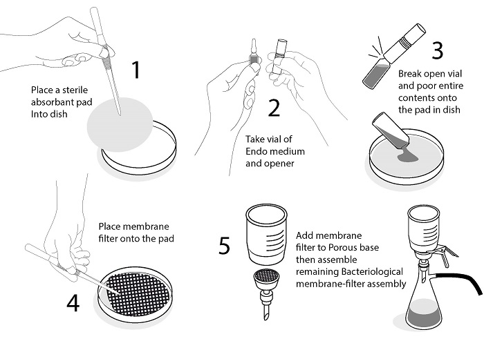 CERTIFICATE IN BIOTECHNOLOGY VBS010