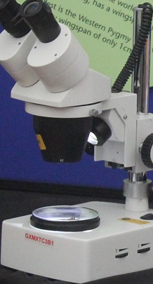 ASSOCIATE DIPLOMA IN SCIENCE AND TECHNOLOGY VSC015